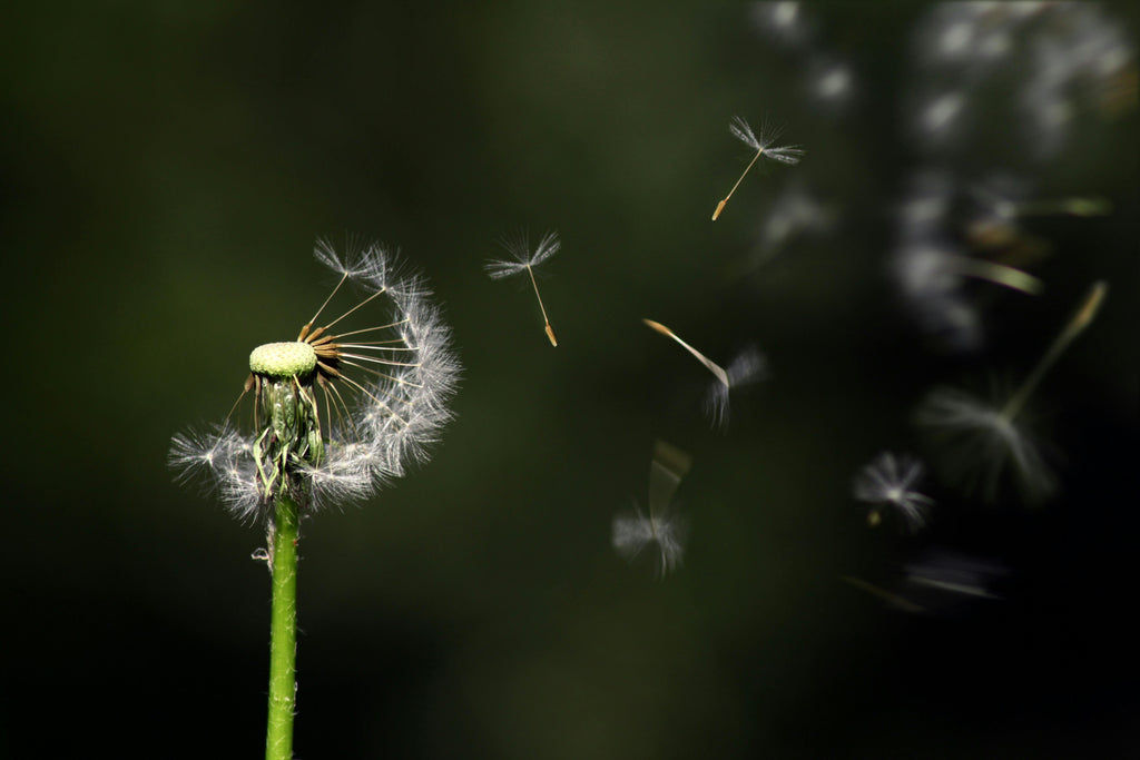 How Micro Habits Can Help You Regain Control Over Your Screen Time